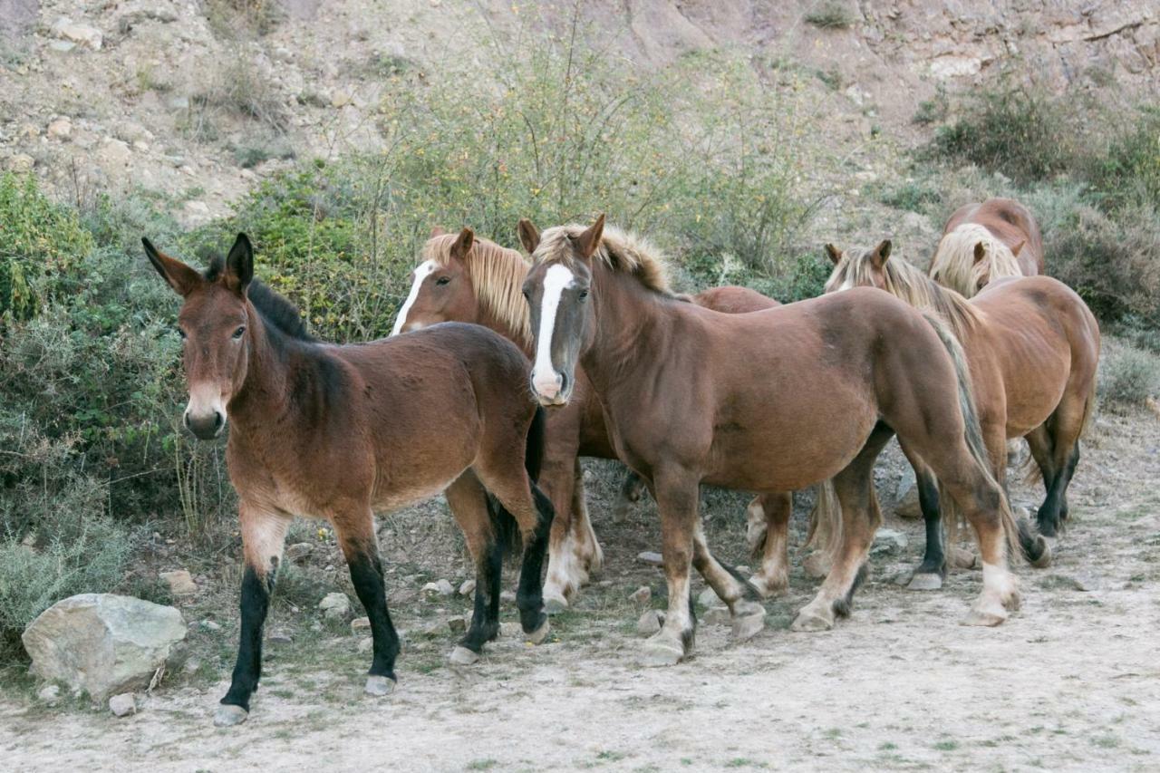 La Posada De Ajamil מראה חיצוני תמונה